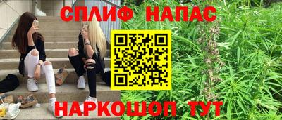 крисы Лесосибирск