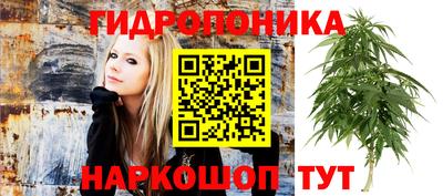 МДПВ Ликино-Дулёво