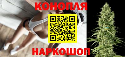крисы Лесосибирск