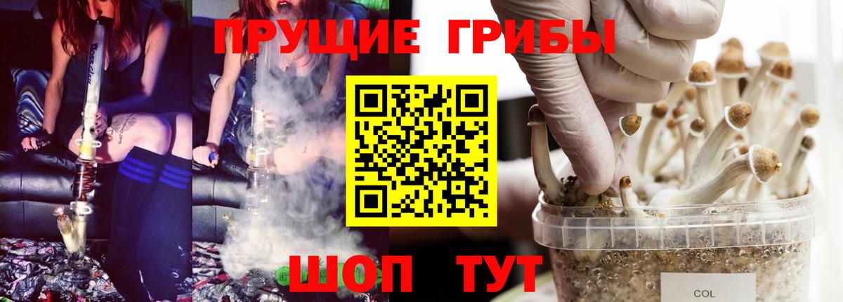 Галлюциногенные грибы Psilocybine cubensis Владивосток